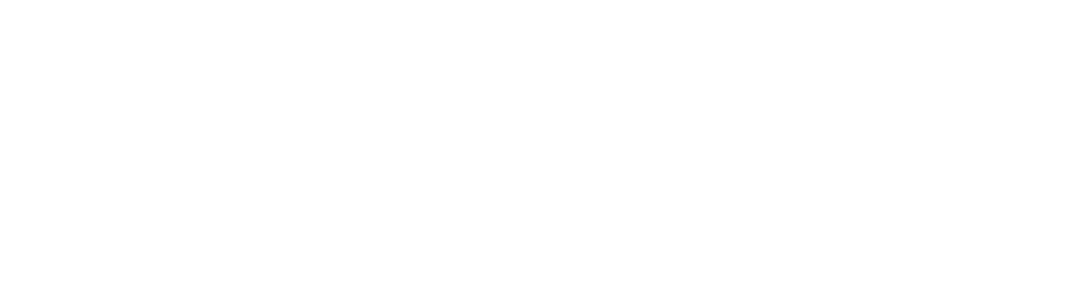 coaserta.com.mx